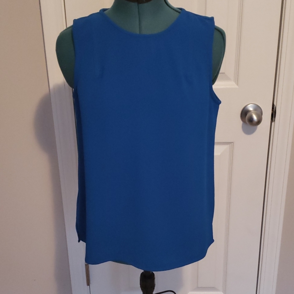Blue sleeveless top from The Limited